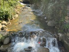 -将军关探险漂流