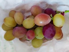 -马陆小张葡萄园农家乐