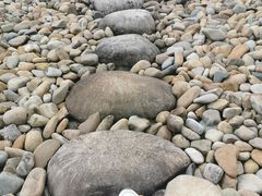 -鹦鹉洲湿地公园