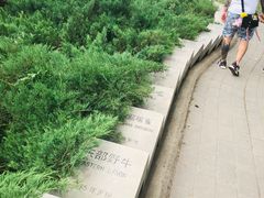 -北京麋鹿生态实验中心