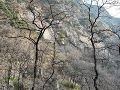 -泰山风景名胜区