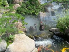 -罗红摄影艺术馆