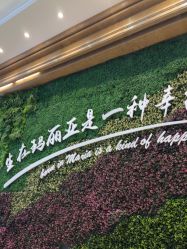-玛丽亚妇产医院