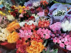 -循礼门鲜花花市(武汉循礼门店)