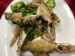 -蛇口康乐快餐鱼仔档(翠苑小区店)