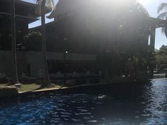 -三亚亚龙湾铂尔曼别墅度假酒店