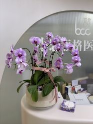 -小忠丽格医美