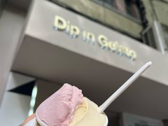 -Dip in Gelato(富民路店)