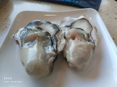 -港畔赶海蒸汽海鲜烧烤自助(仙螺岛店)