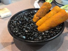 -丁老爷子苏香圆