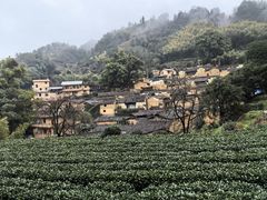 -杨家堂村