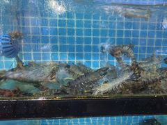 -四川小胡子海鲜(丁村万人海鲜广场店)