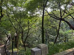 -句容茅山景区