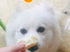 -吴酥生宫廷酥饼(南门口店)