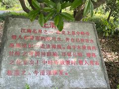 -上海佘山国家森林公园天马山园