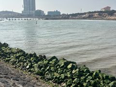 -青岛第二海水浴场