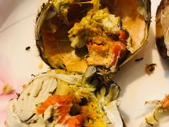 大闸蟹-黄记大闸蟹专卖店·活蟹·醉蟹