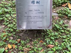 -北高峰