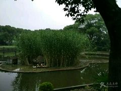 -金龟岛渔村