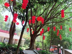 -云溪植物园