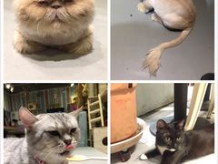 -小时光咖啡馆(开森度假森林店)
