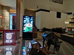 -苏州凯悦酒店·酒肆(华池街店)
