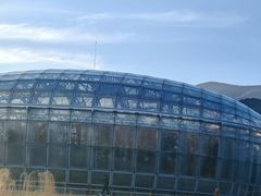 -北京植物园-展览温室