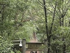 -敬亭山风景名胜区