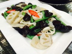 -龙达温泉生态城