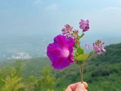 -北京西山国家森林公园
