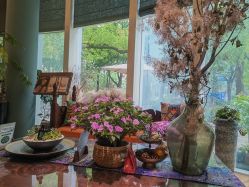 -娇玫荟SPA