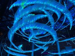 -西安W酒店·WEI全味西餐厅