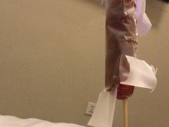 -和禄德冰糖葫芦