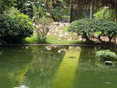 -九龙公园