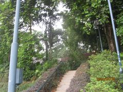 -九龙公园