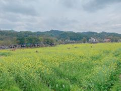 -红山村