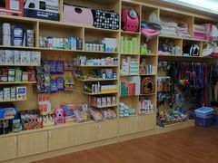 -千城康桥宠物医院·猫科·骨科·心脏