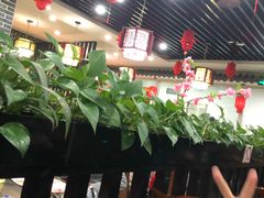 大堂-祥之缘北京烤鸭(美利广场店)