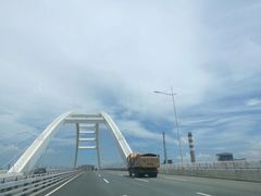 -大湾区中央湿地公园-十九涌