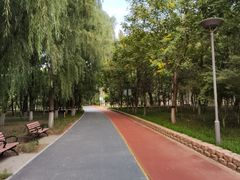 -大兴滨河森林公园