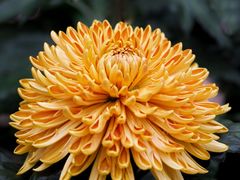 -共青国家森林公园-售票处