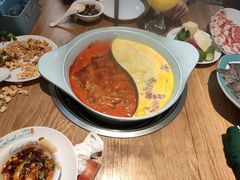 -青瓷火锅料理(西单大悦城店)