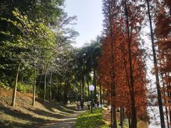 -三水森林公园