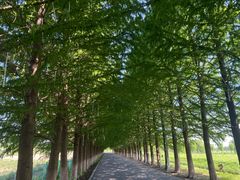 -嘉北郊野公园