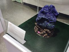 -中国第四纪冰川遗迹陈列馆