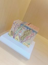 -雍禾植发全国连锁