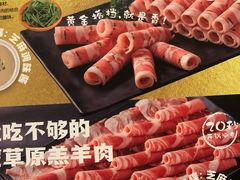 -海底捞火锅(明湖路店)