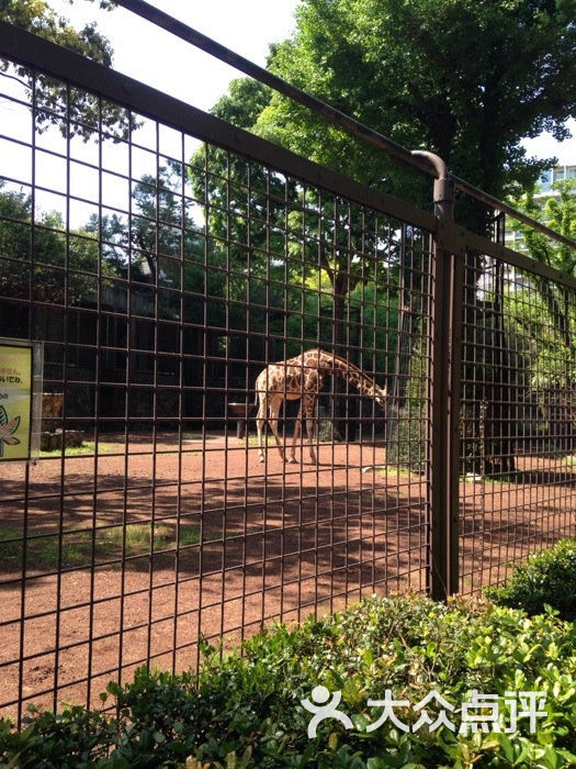 上野動物園13圖片-北京動物園-大眾點評網