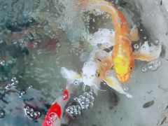 -My Way Town买味堂·东南亚餐厅(亦庄店)