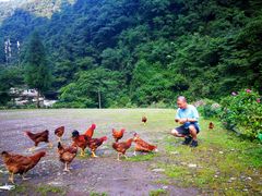 -西岭雪山大飞水景区